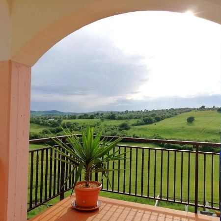 Agriturismo Podere Verdicchio Scansano Ngoại thất bức ảnh