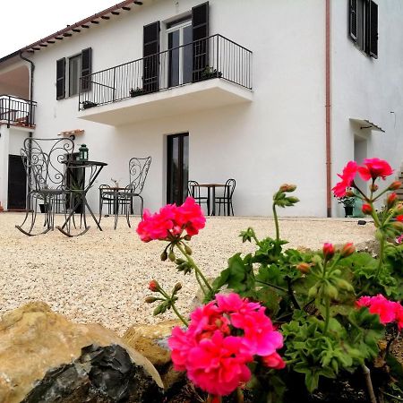 Agriturismo Podere Verdicchio Scansano Ngoại thất bức ảnh