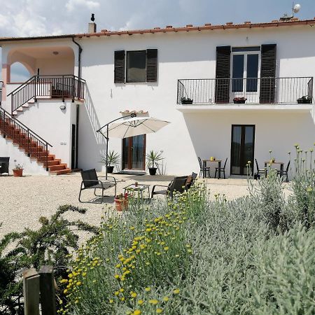 Agriturismo Podere Verdicchio Scansano Ngoại thất bức ảnh