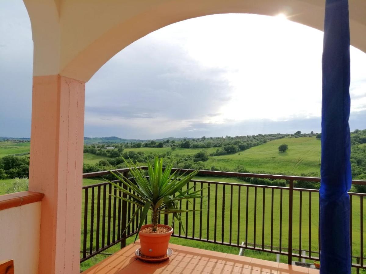 Agriturismo Podere Verdicchio Scansano Ngoại thất bức ảnh