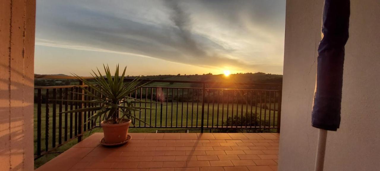 Agriturismo Podere Verdicchio Scansano Ngoại thất bức ảnh