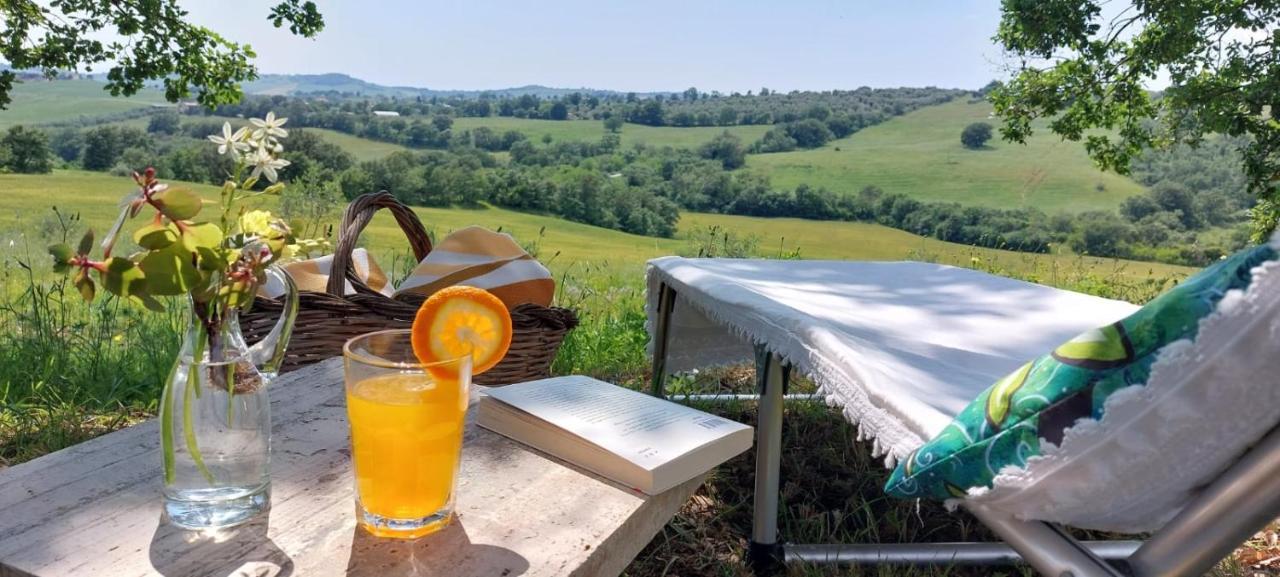 Agriturismo Podere Verdicchio Scansano Ngoại thất bức ảnh