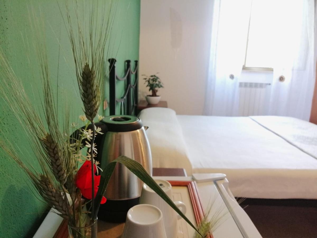 Agriturismo Podere Verdicchio Scansano Ngoại thất bức ảnh